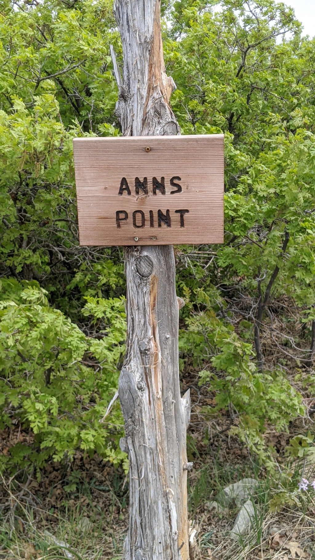 Hiking to Ann's Point
